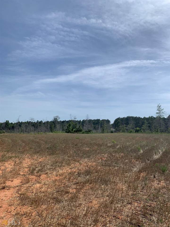 0 Piney Grove Road - Photo 1