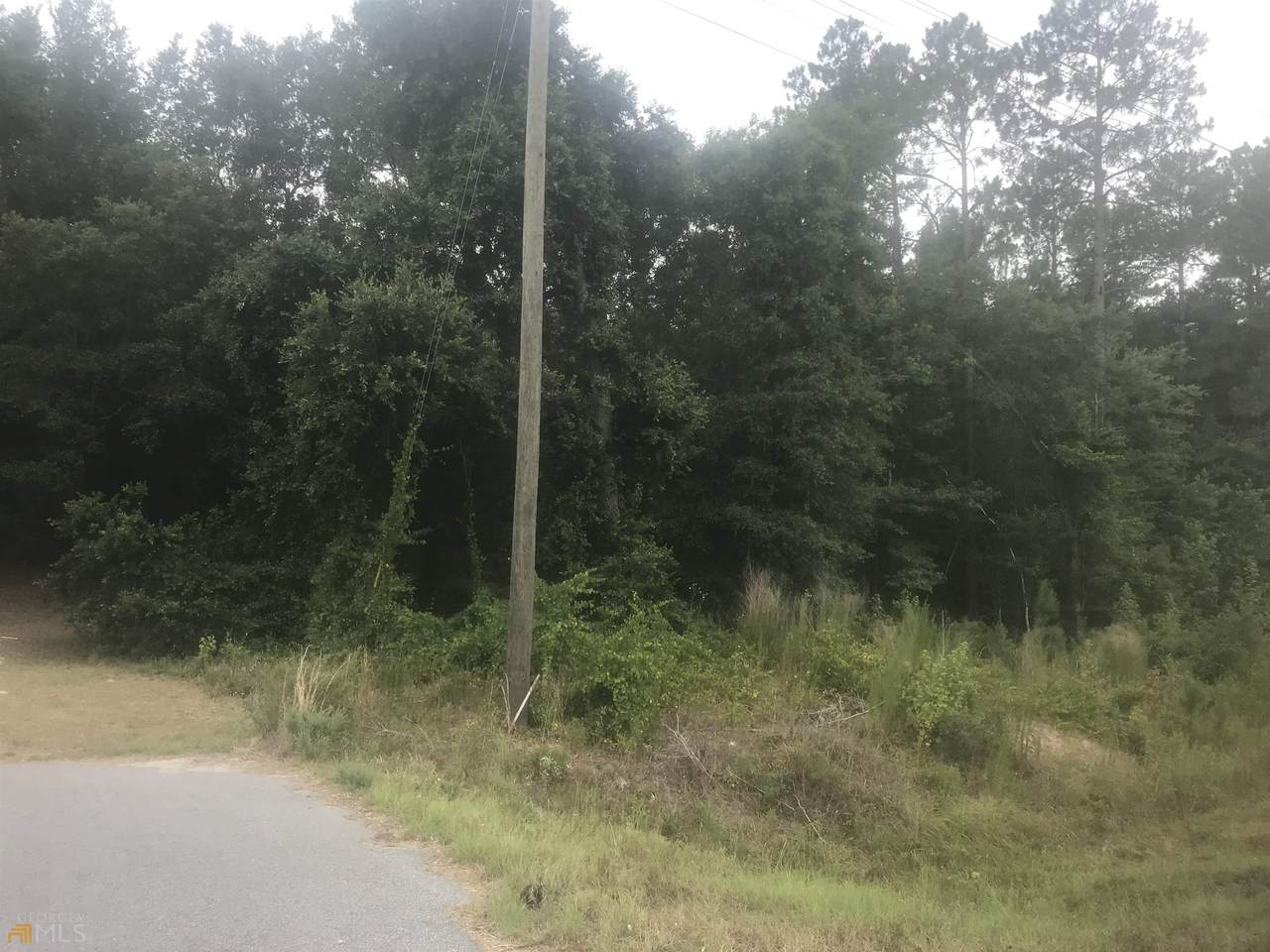 570 Savannah River Parkway - Photo 1