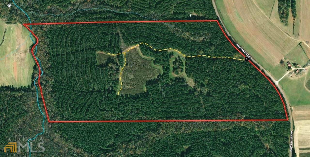 115.551 AC Wallace Road - Photo 1