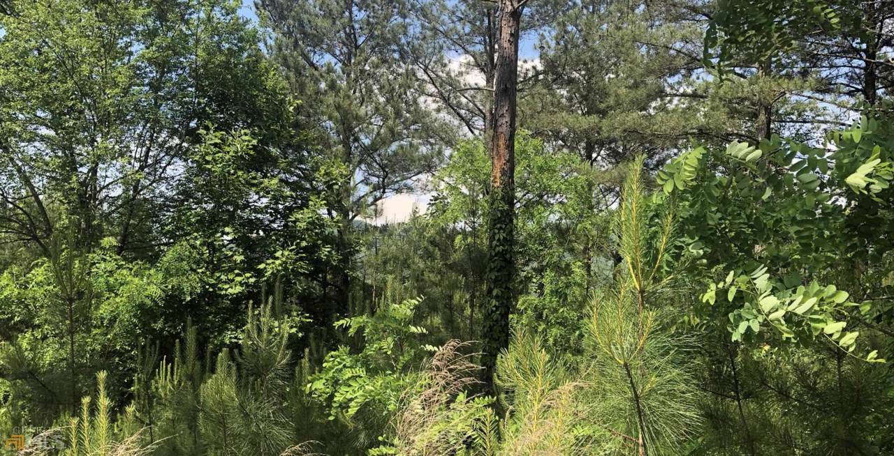 LOT 21 Pinehurst - Photo 1