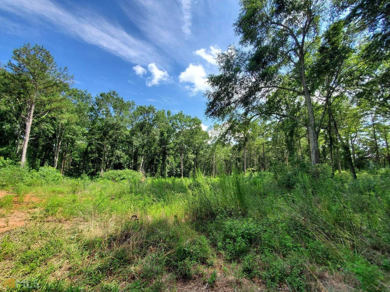0 Yatesville Highway - Photo 1