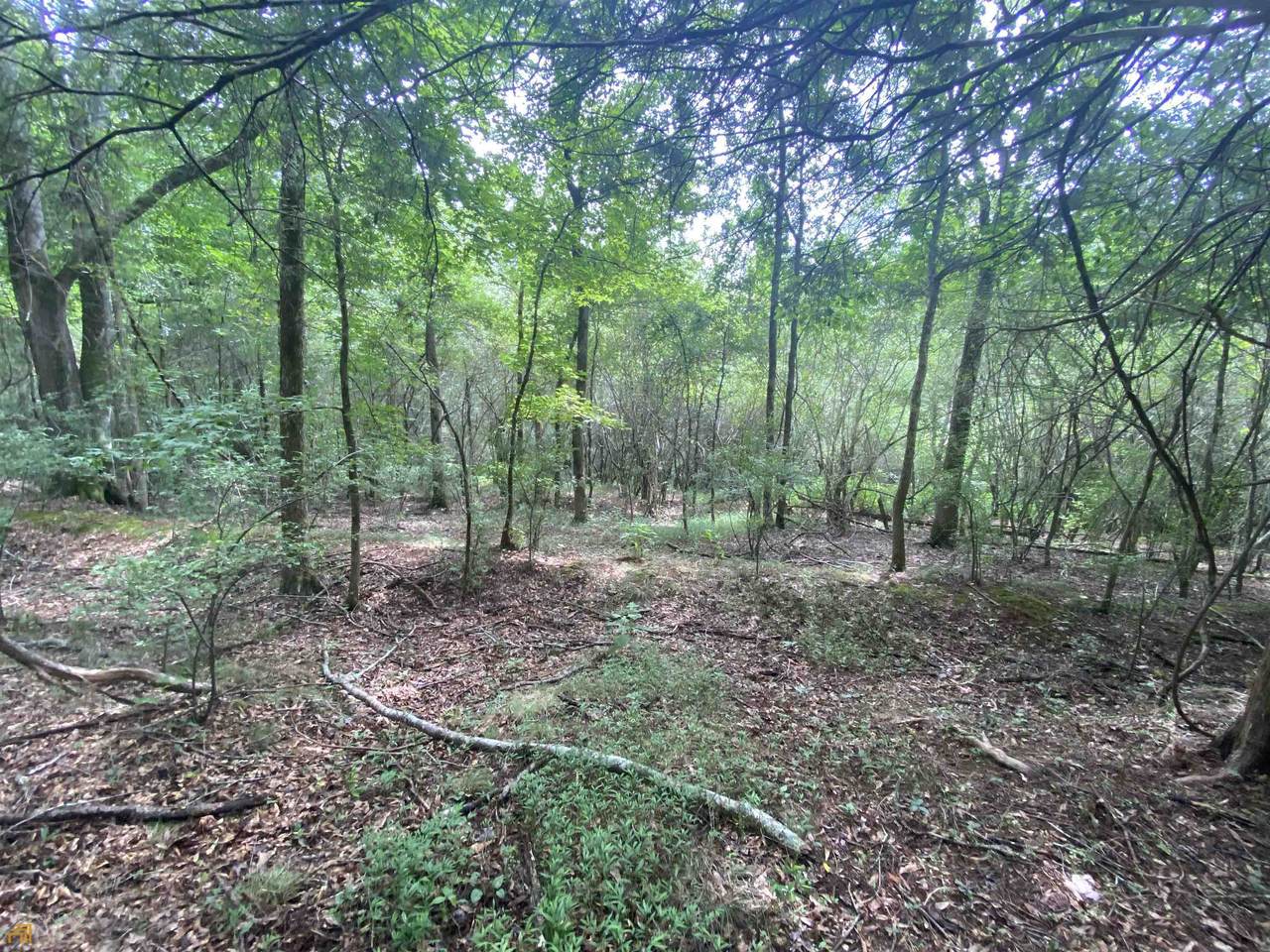 0 Old Barnett Shoals Road - Photo 1
