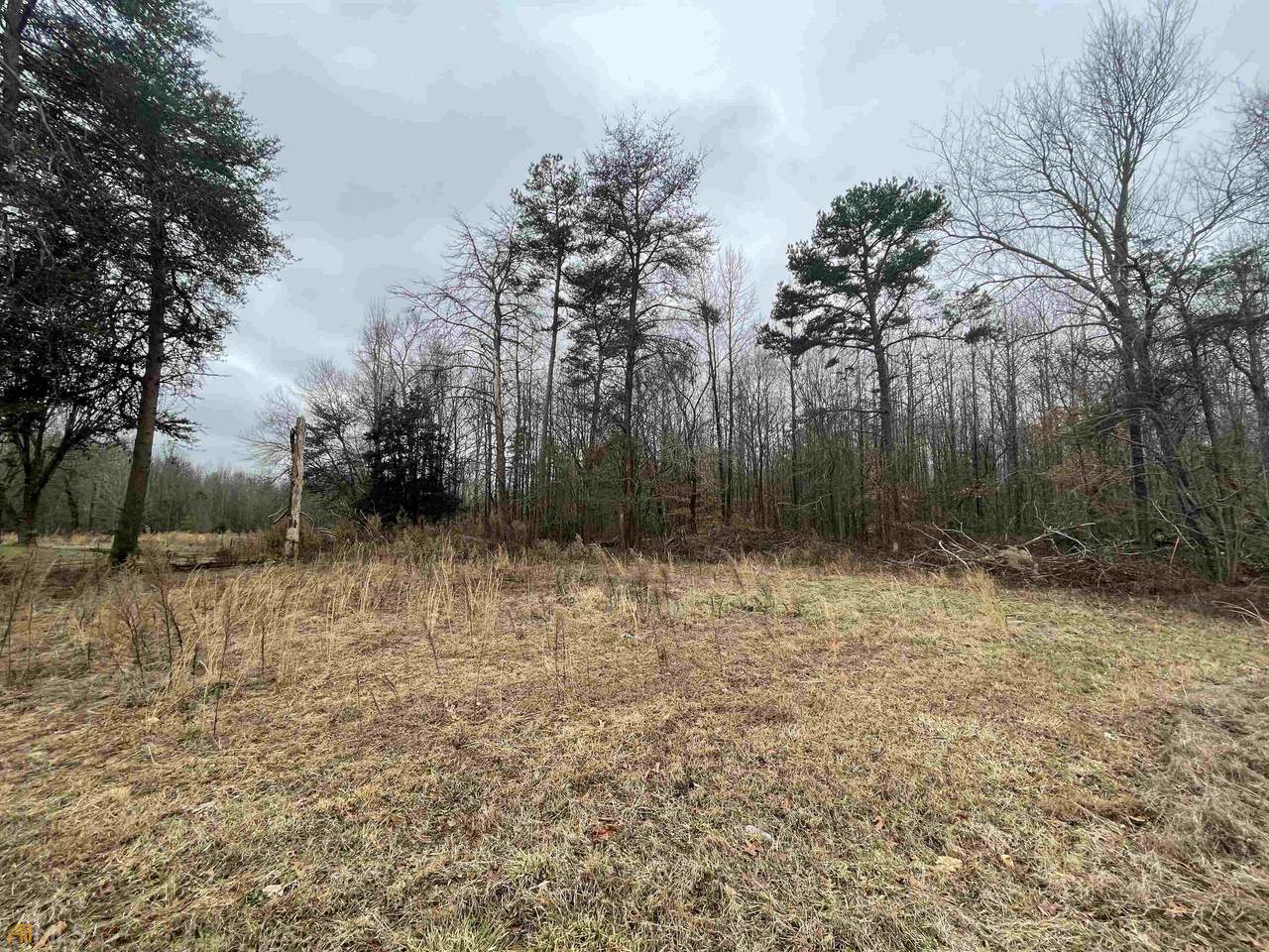 0 Holiness Campground Road - Photo 1