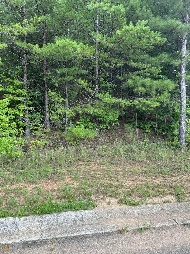 00 Ridgeview Lane - Photo 1