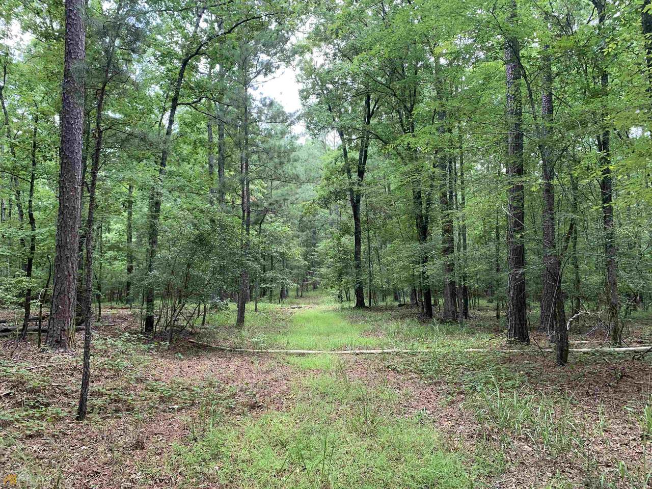 0 West Lake Road - Photo 1