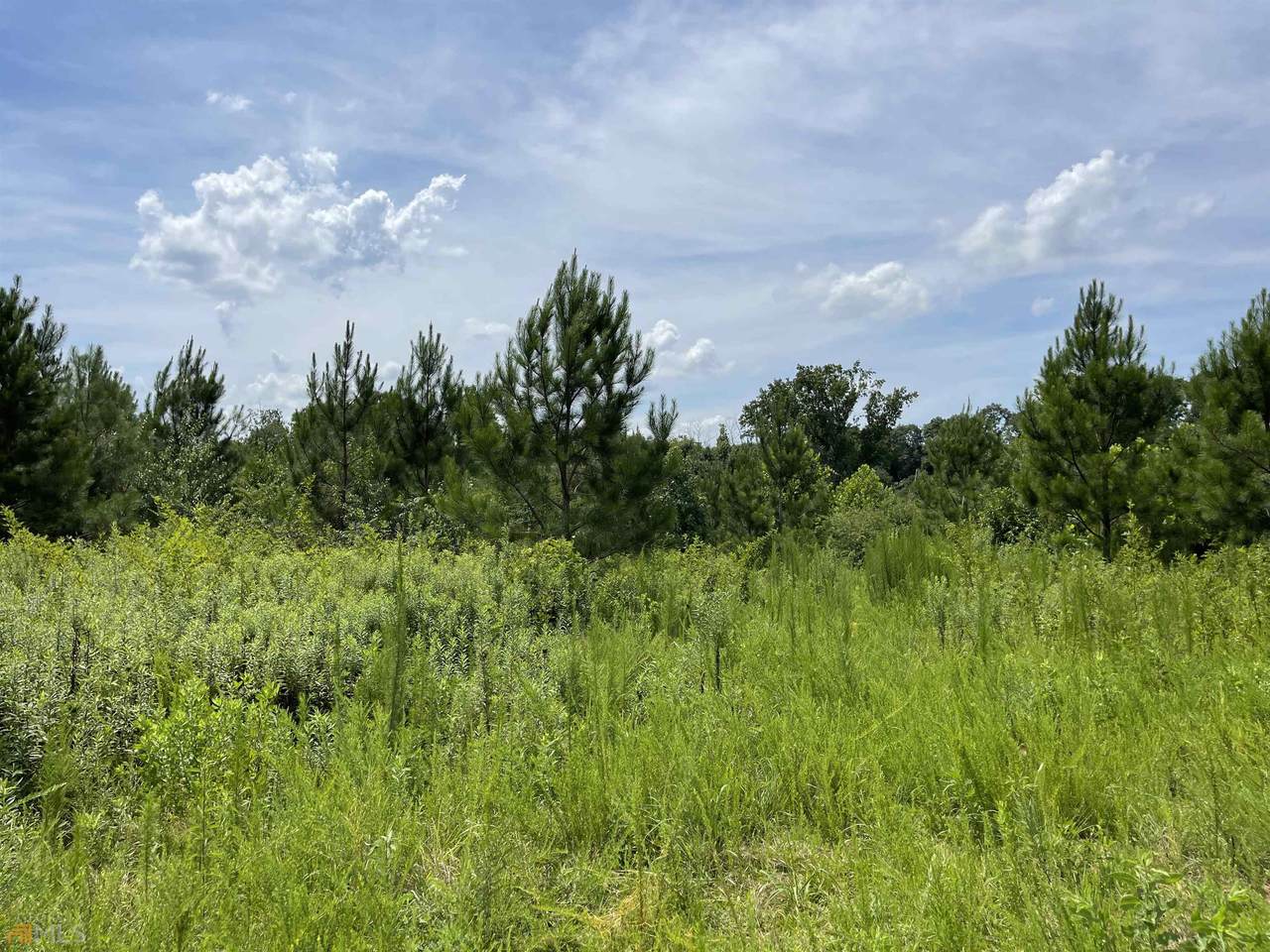 0 Mountain Creek Drive - Photo 1