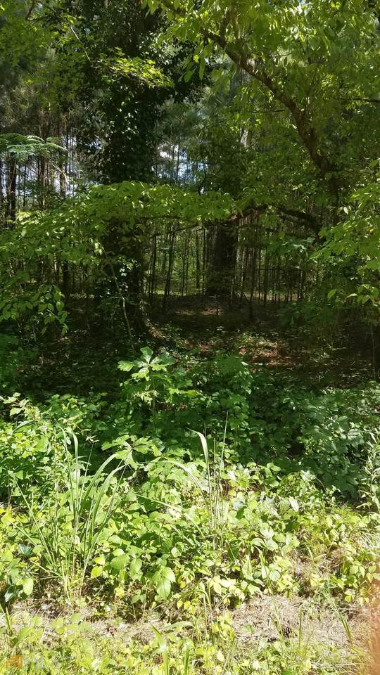 1620 Five Points Road - Photo 1