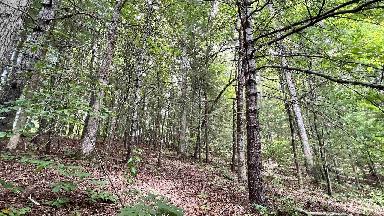 LOT 21 Beacon Way - Photo 1