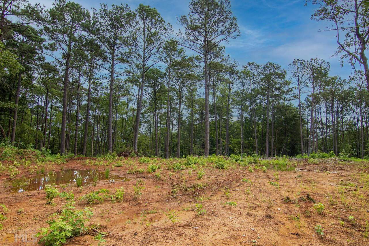 0 Fortune Hole Road - Photo 1