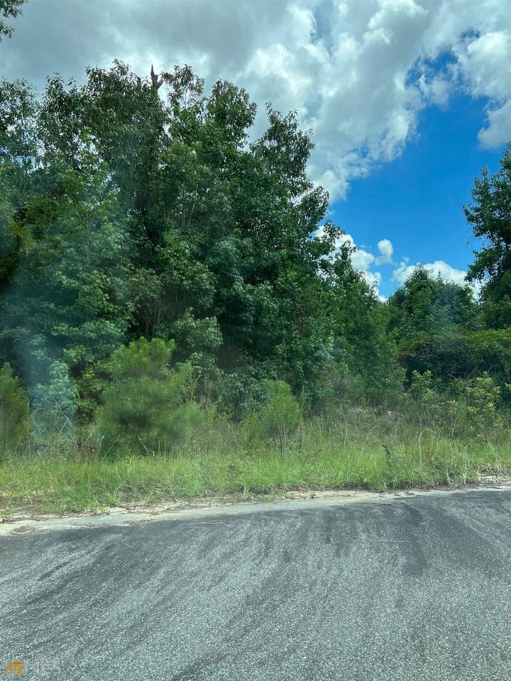 LOT 6 Flamingo Estates - Photo 1