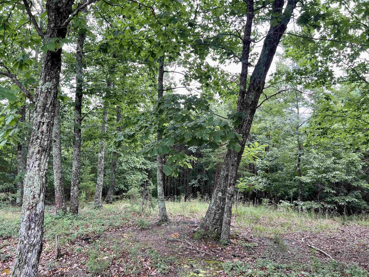 0 Timber Rock Drive - Photo 1