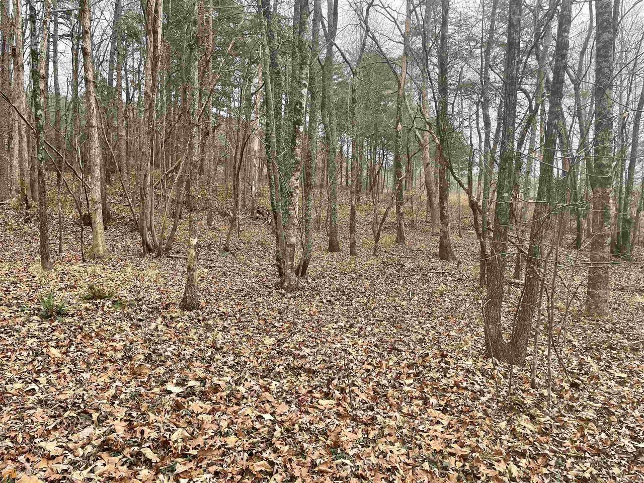0 Teel Mountain Drive - Photo 1