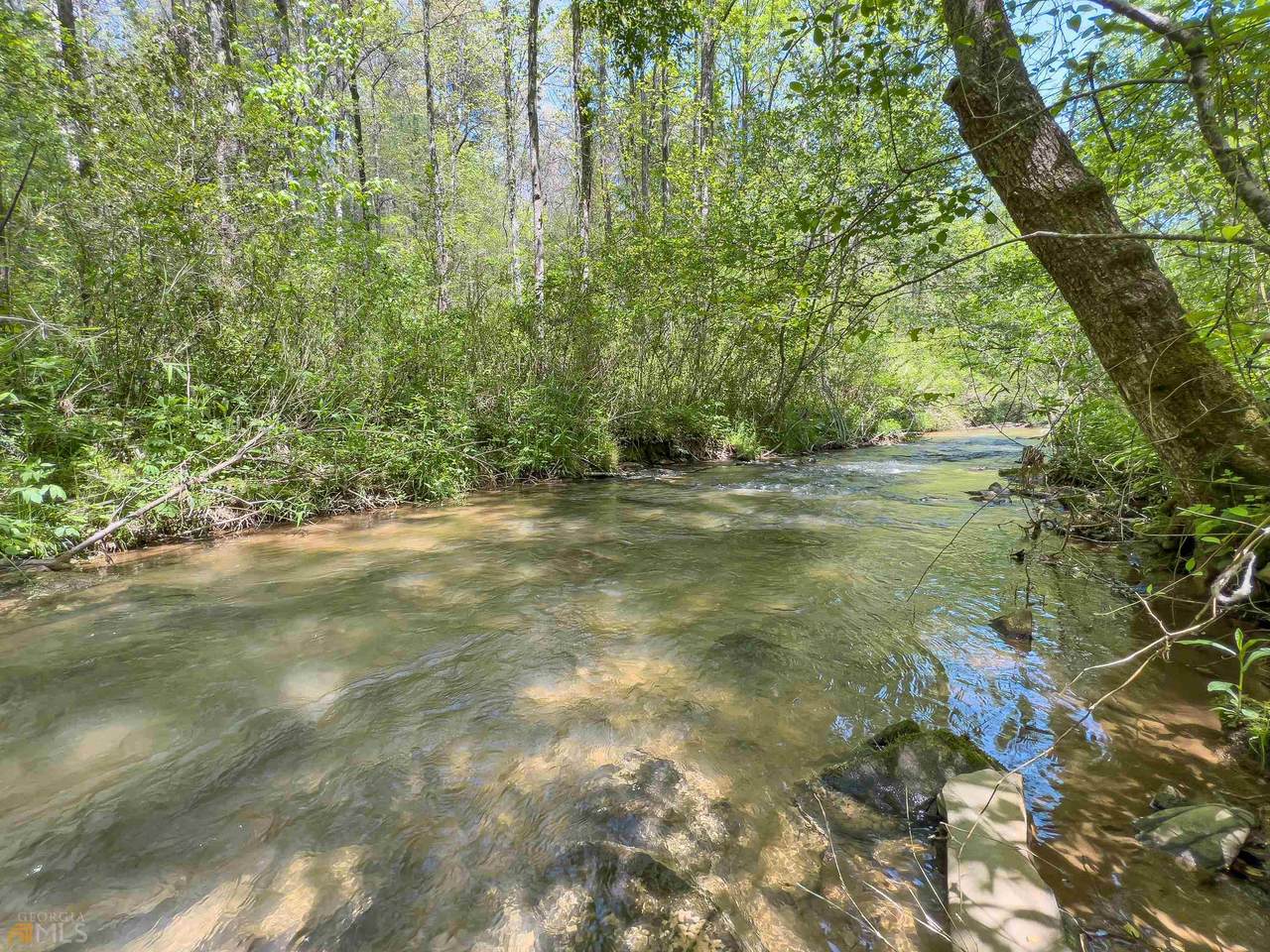 11 Rhondas Way - Photo 1