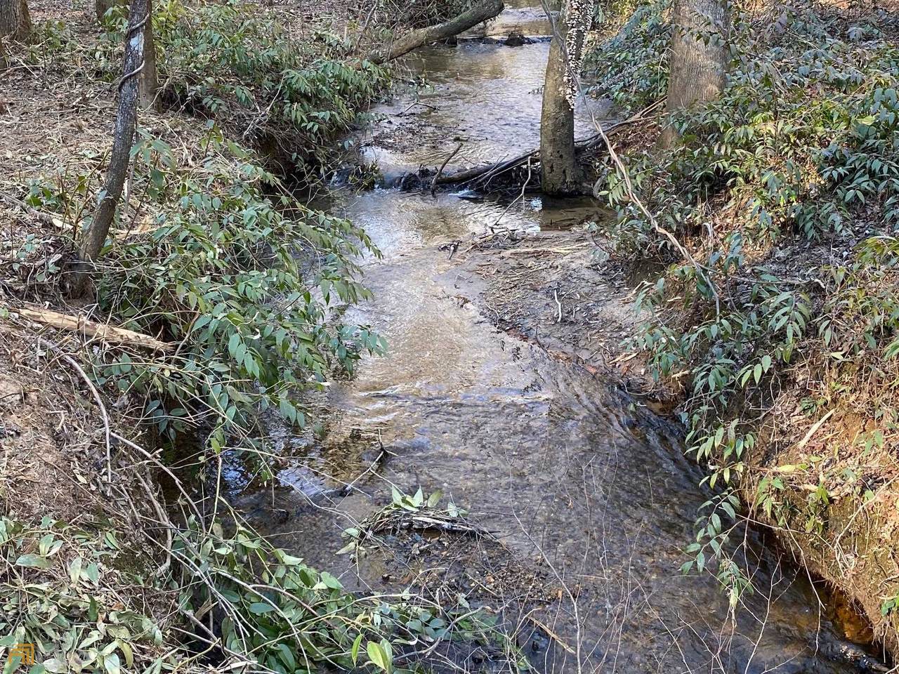 2 Bean Creek Road - Photo 1