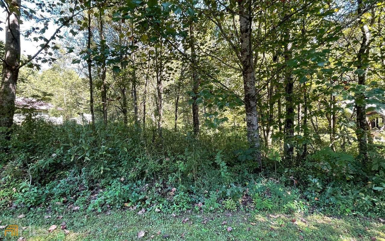 LOT 4 Conner Lane - Photo 1