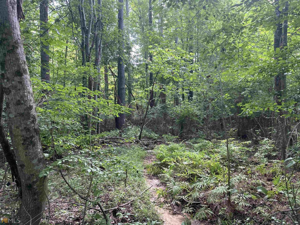 0 (55AC) Lucky Lane - Photo 1