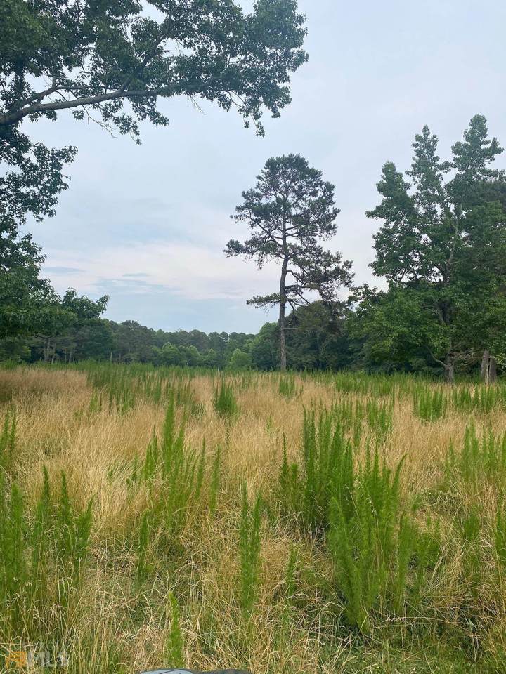 4185 Doc Sams Road - Photo 1