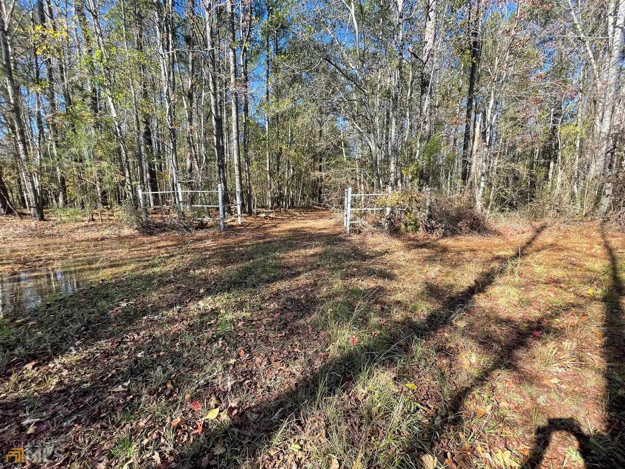 368 Mott Road - Photo 1