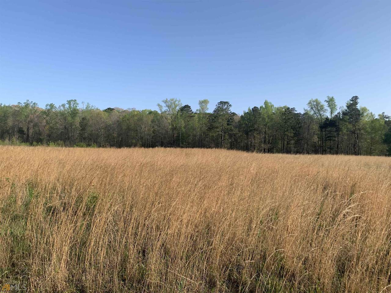 6.84 AC Grant Road - Photo 1