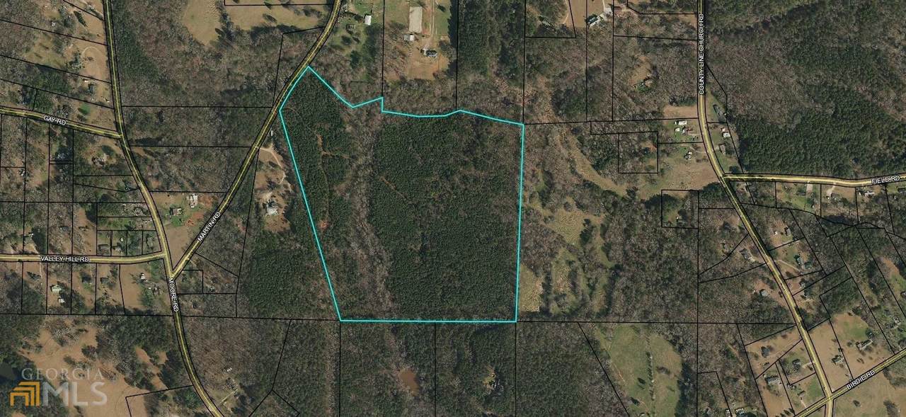 72.7 ACRES Martin Road - Photo 1