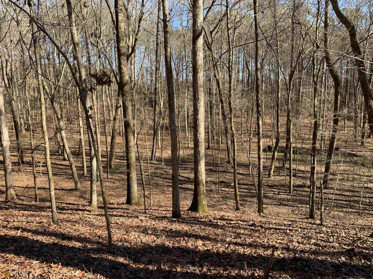 6041 Bethany Road - Photo 1