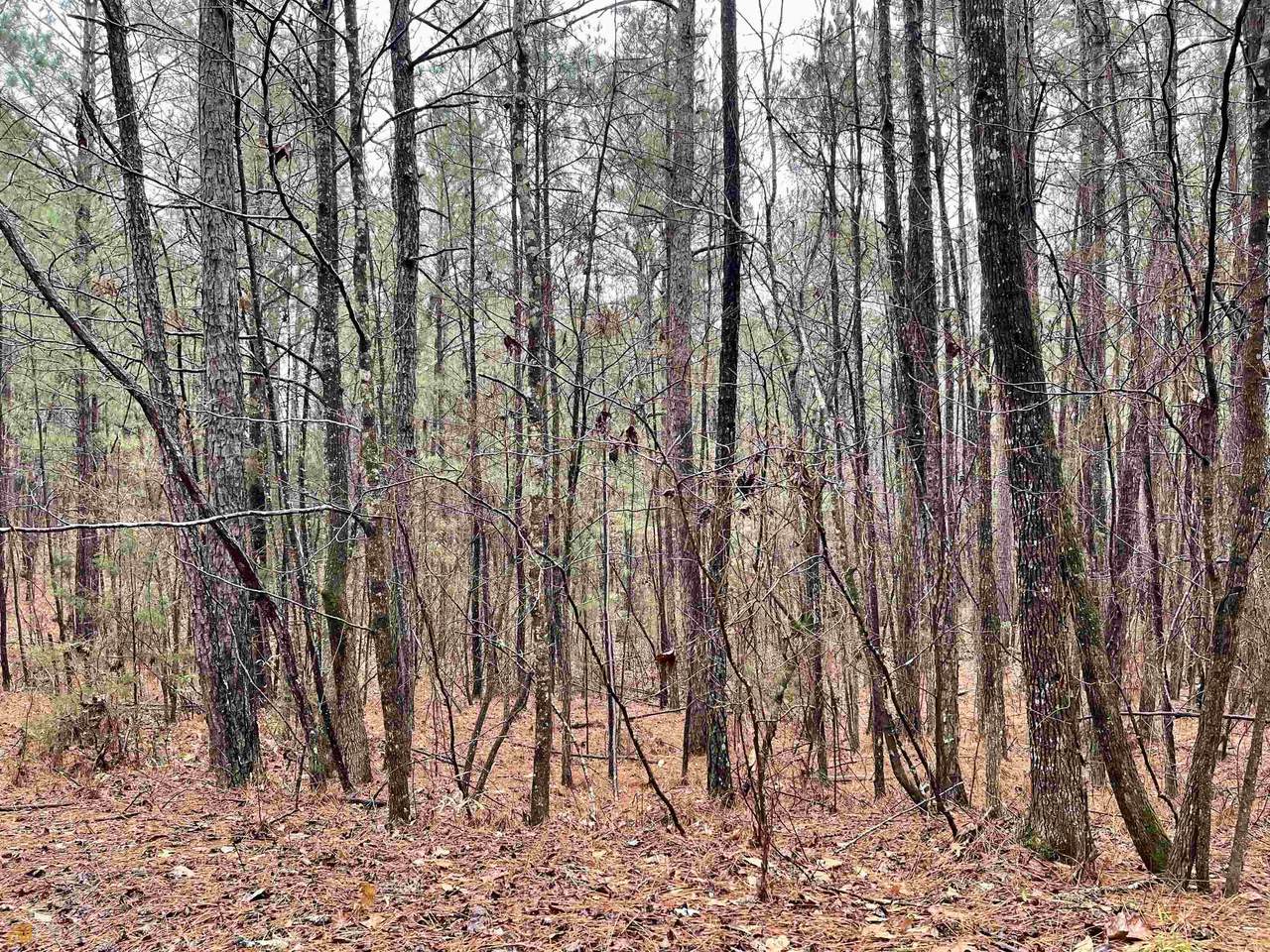0 Hamlin Road - Photo 1