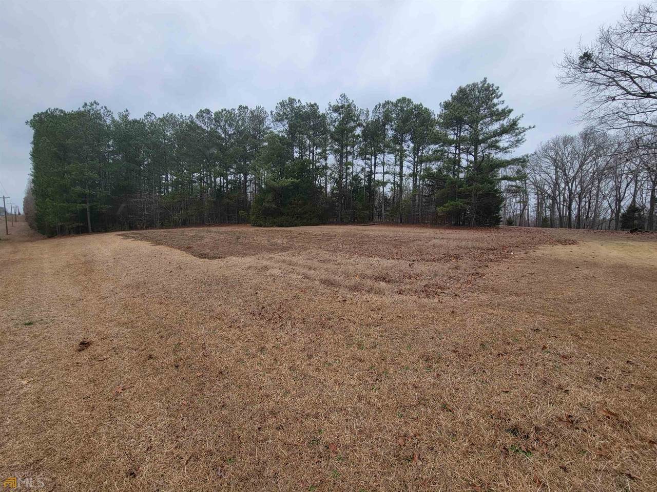 0 Calhoun Falls Highway - Photo 1