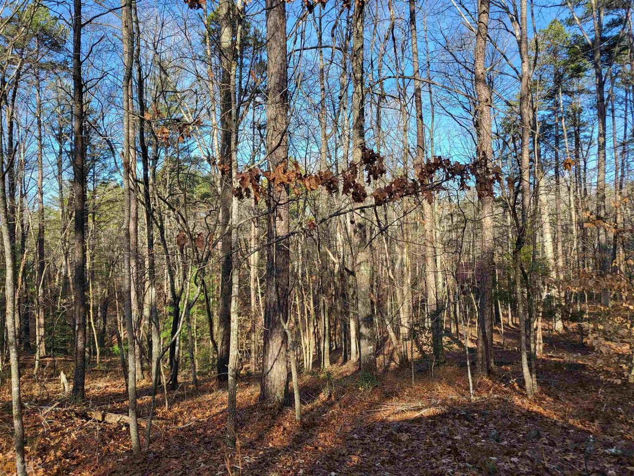 14.4 AC Ponderosa & Thunderhead Trail - Photo 1