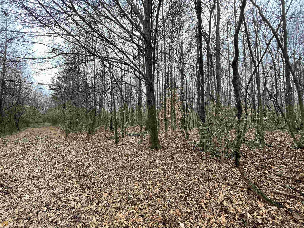 0 Holiness Campground Road - Photo 1