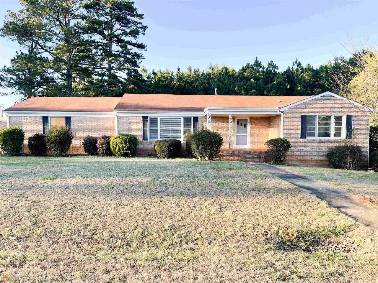 109 Forest Lane - Photo 1
