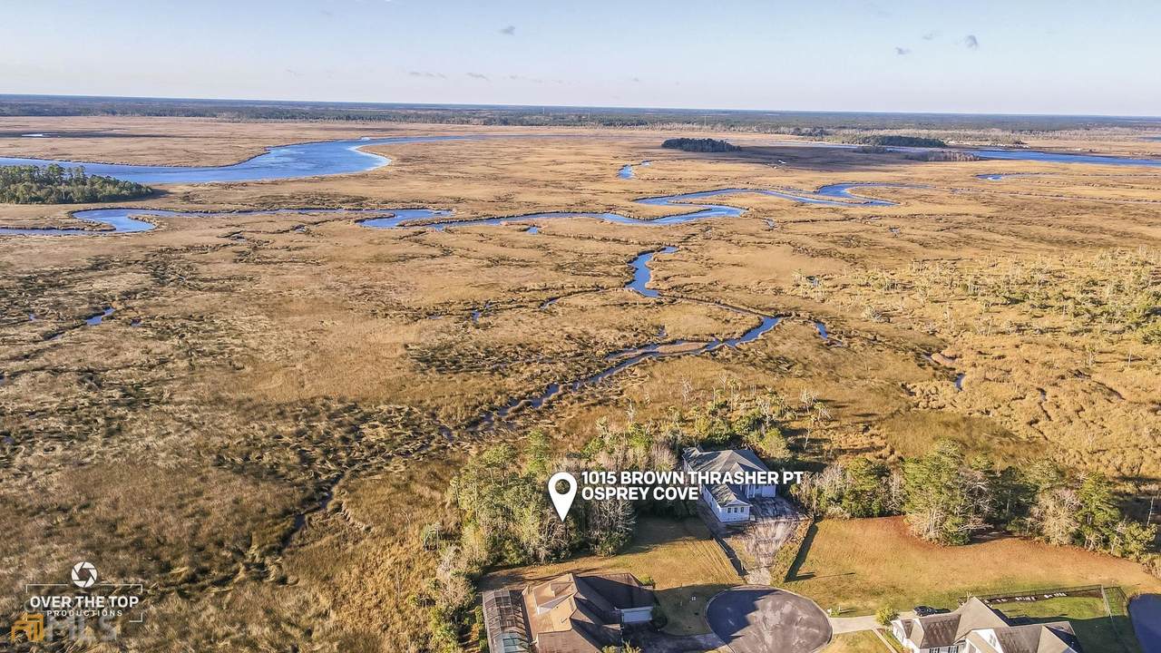 1015 Brown Thrasher Point - Photo 1