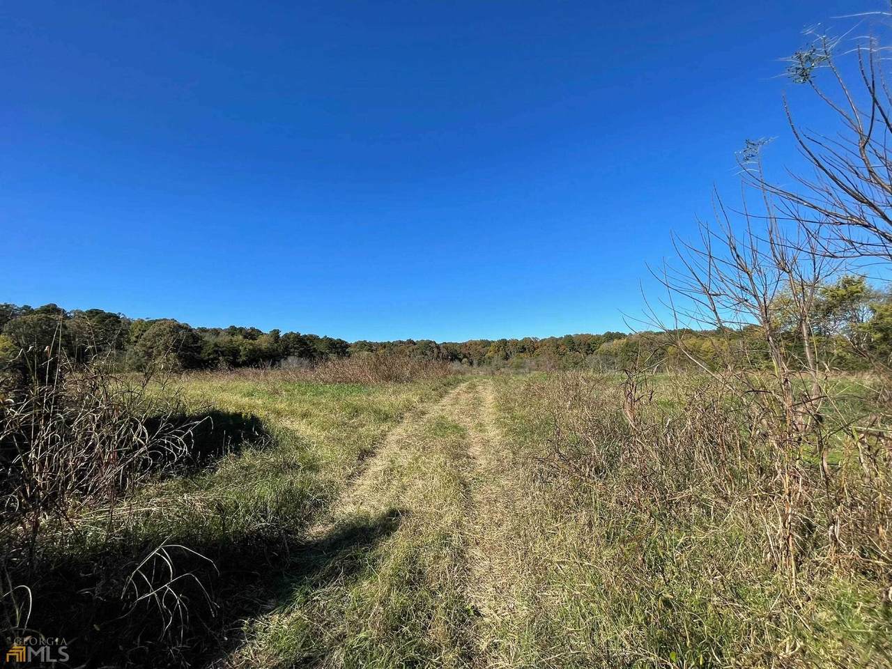 1083 Miller Ferry Road - Photo 1