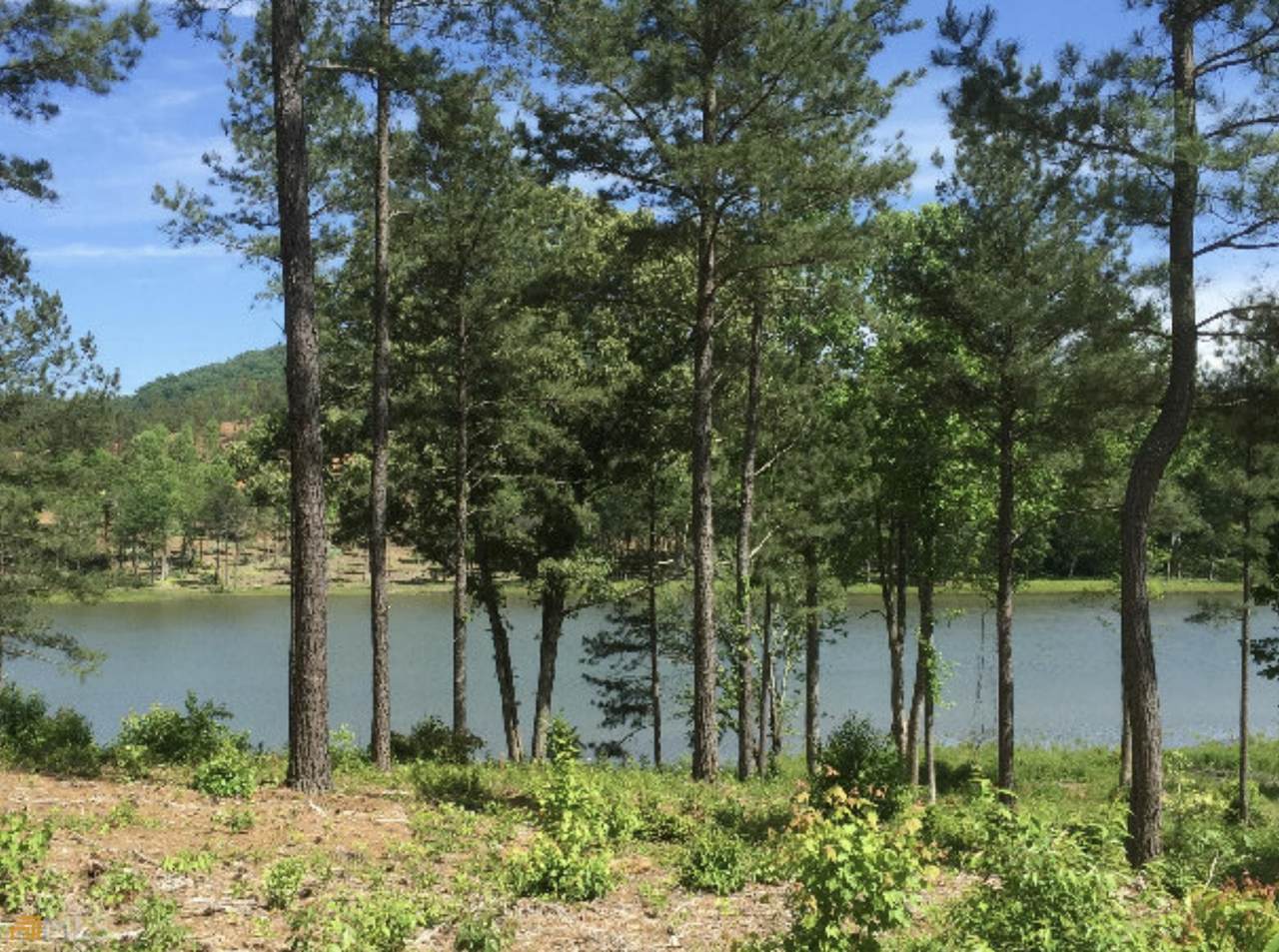 0 Sandy Lake Lane - Photo 1