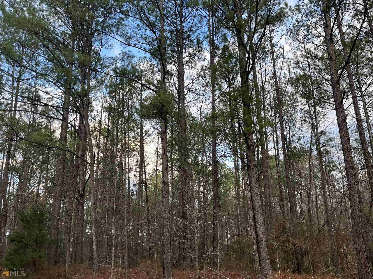 0 Roberts Quarters Road - Photo 1