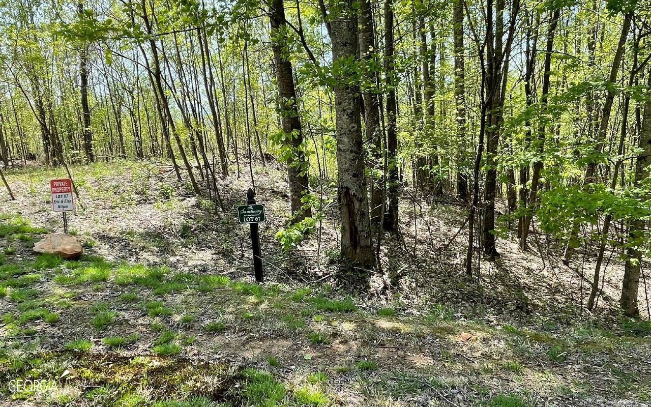 LOT 67 The Sanctuary At Vance Mountain - Photo 1