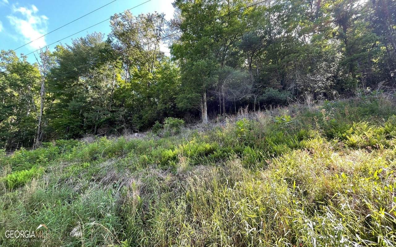 LOT 2 Fires Creek Road - Photo 1