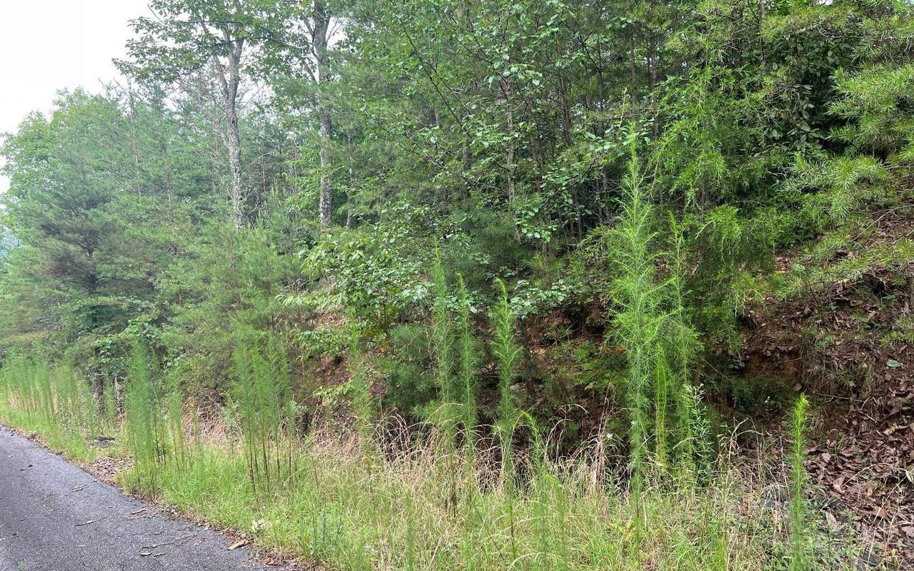 LOT 8 Preserve At Beach Mountain - Photo 1