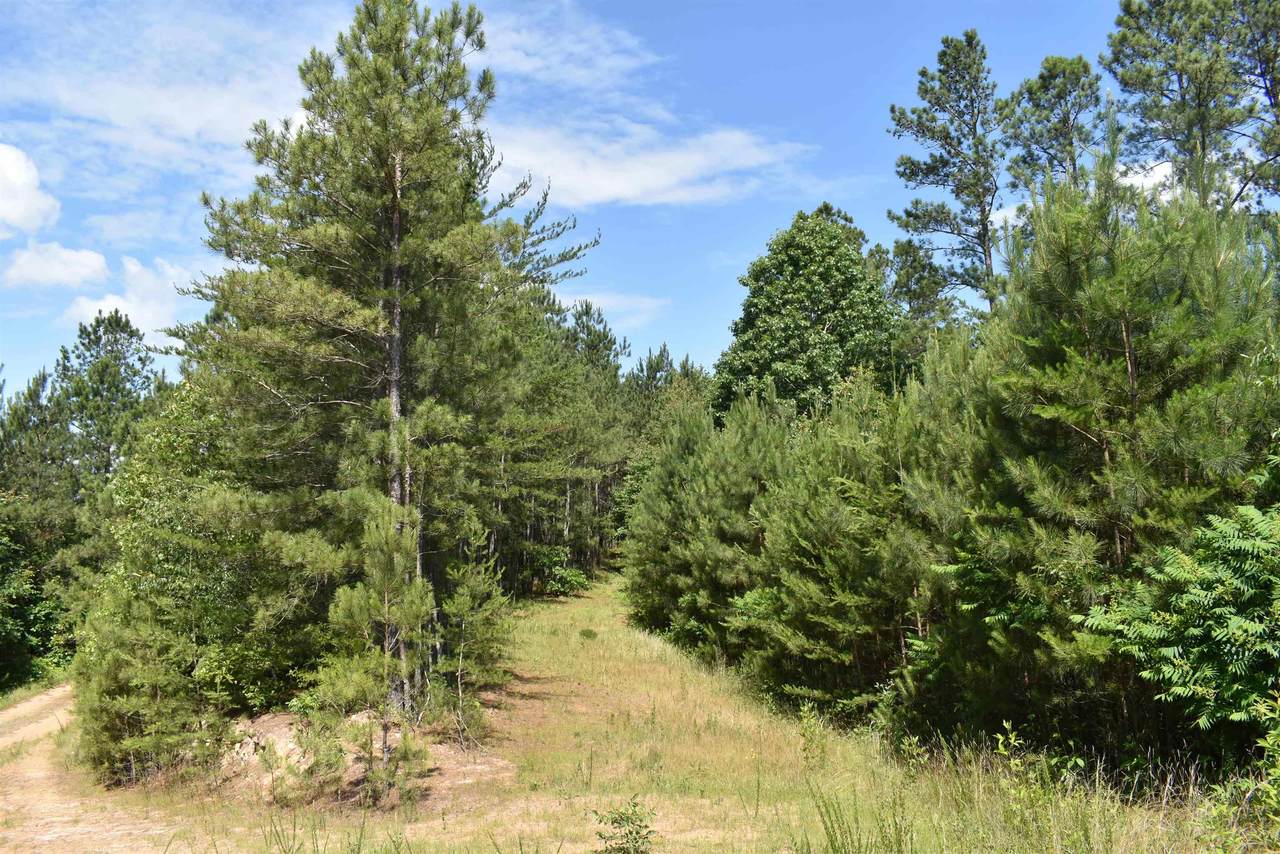 0 Nickelsville Road - Photo 1