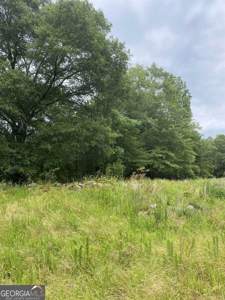 0 River Birch Lane - Photo 1