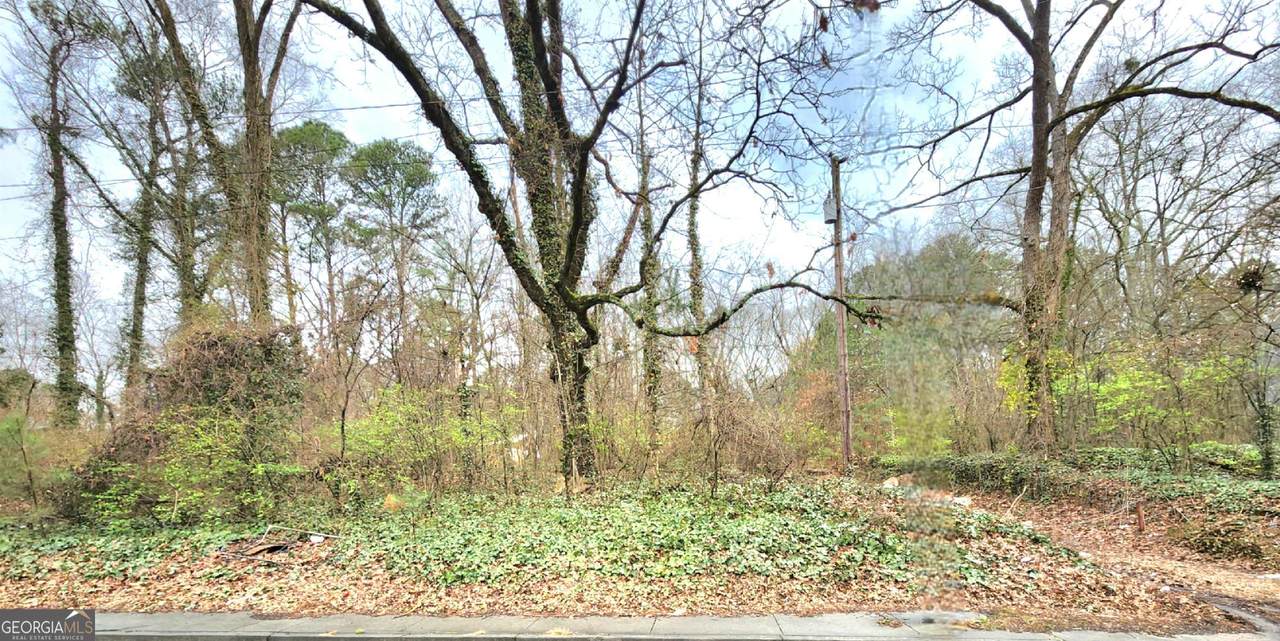 0 Jonesboro Road - Photo 1