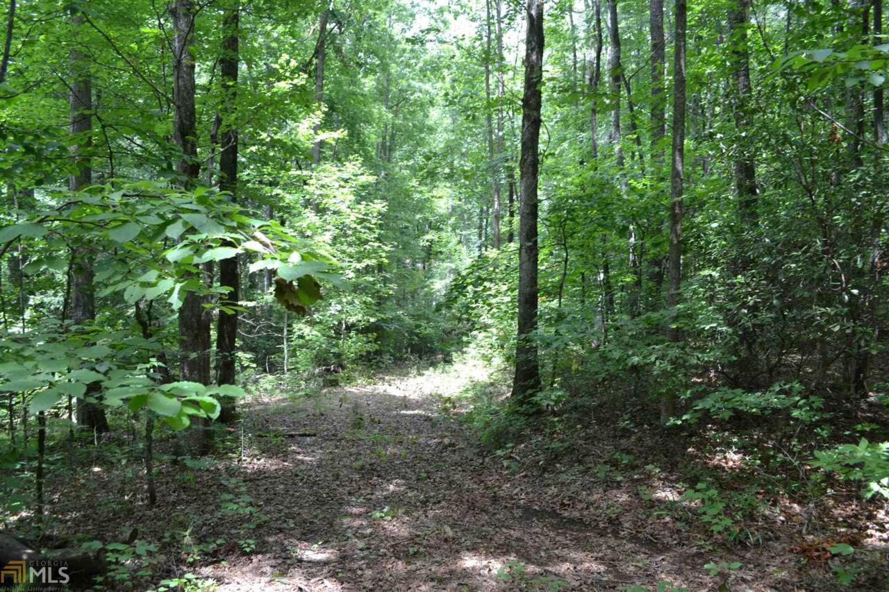 0 Deerfield - Photo 1