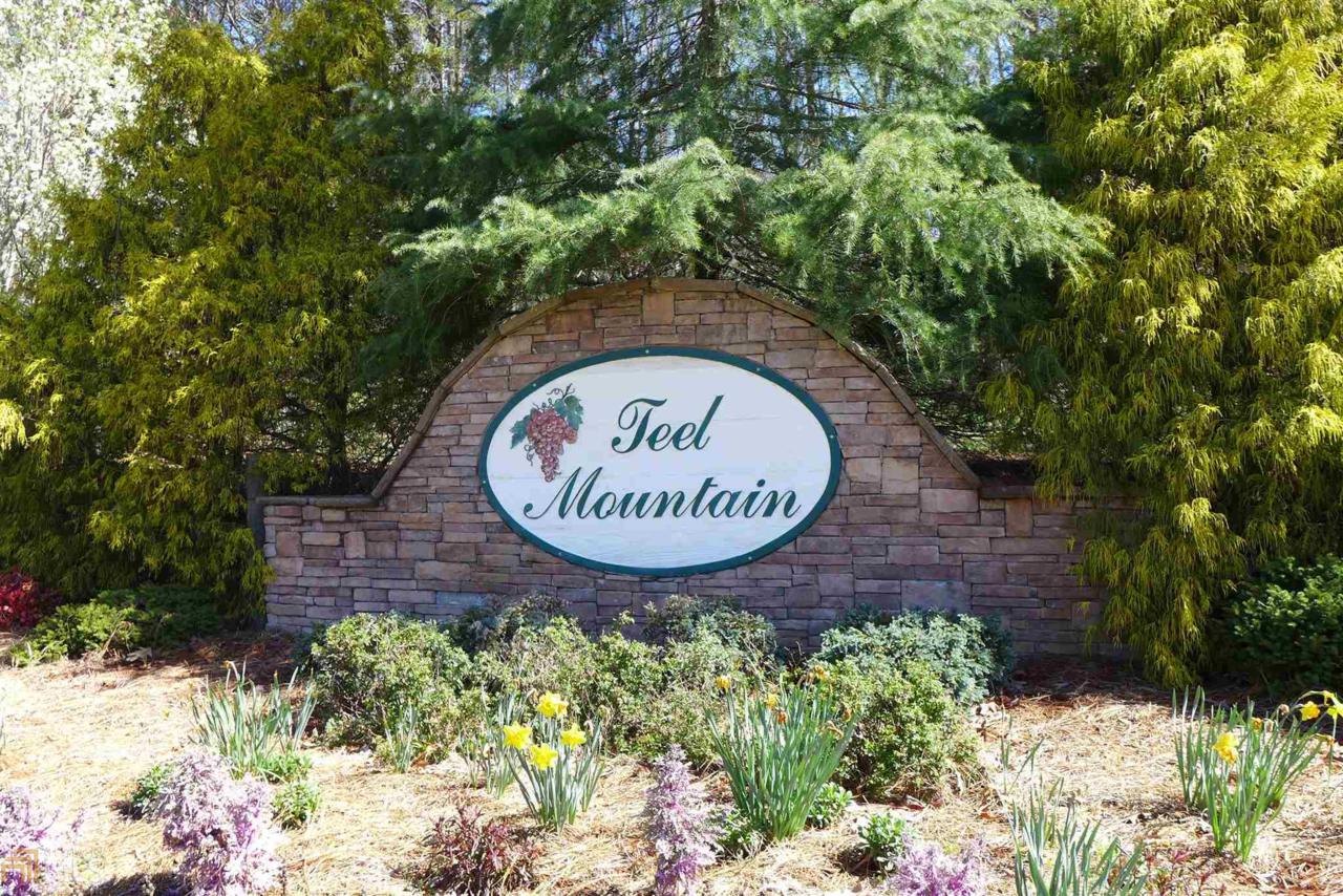 0 Teel Mountain Dr - Photo 1