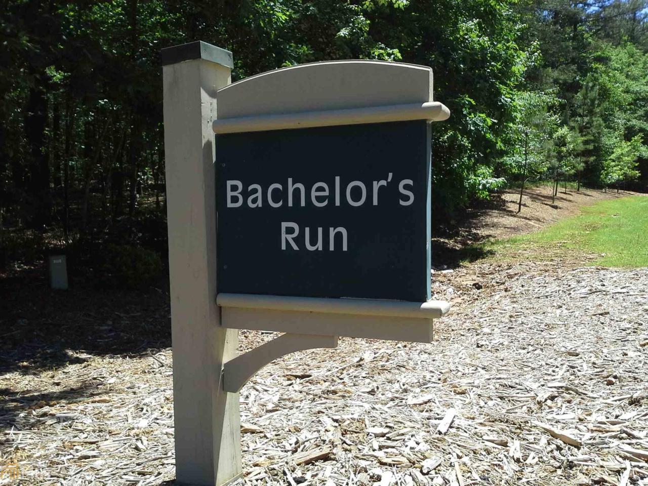 1130 Bachelors Run - Photo 1