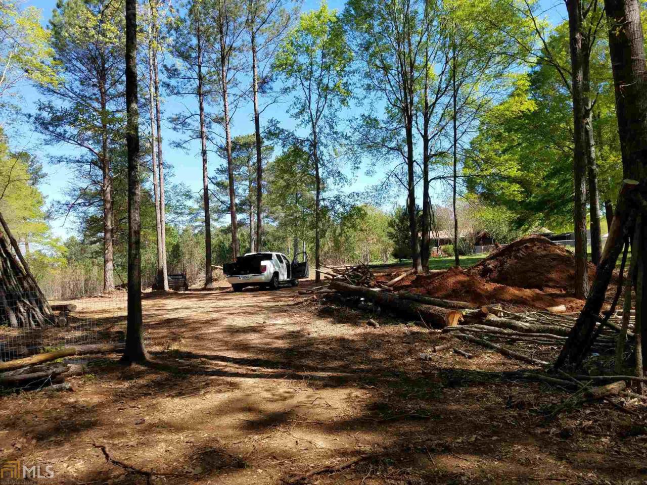 2057 Georgia Highway 83 - Photo 1
