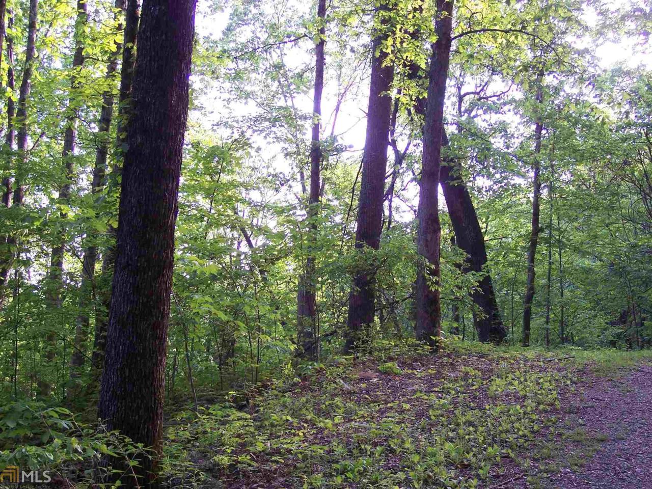 18 Shooting Creek Trl - Photo 1