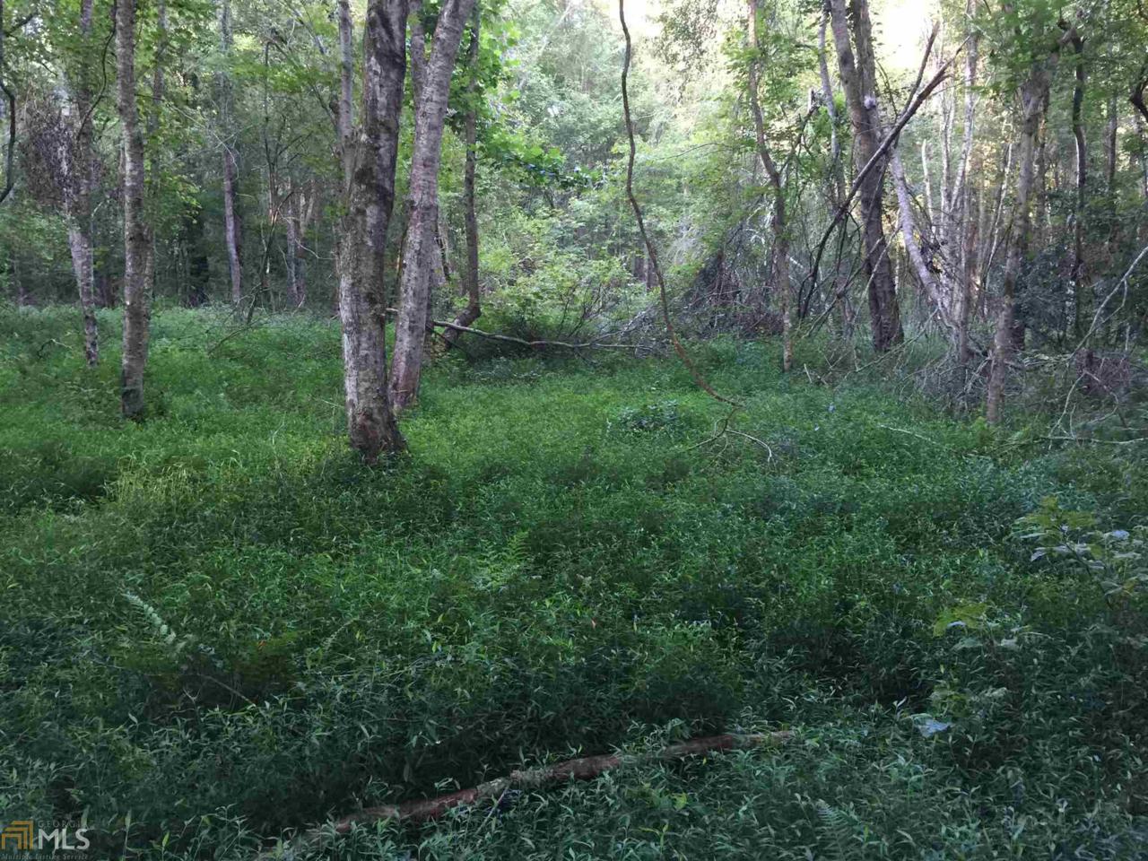 0 River Highlands Rd - Photo 1
