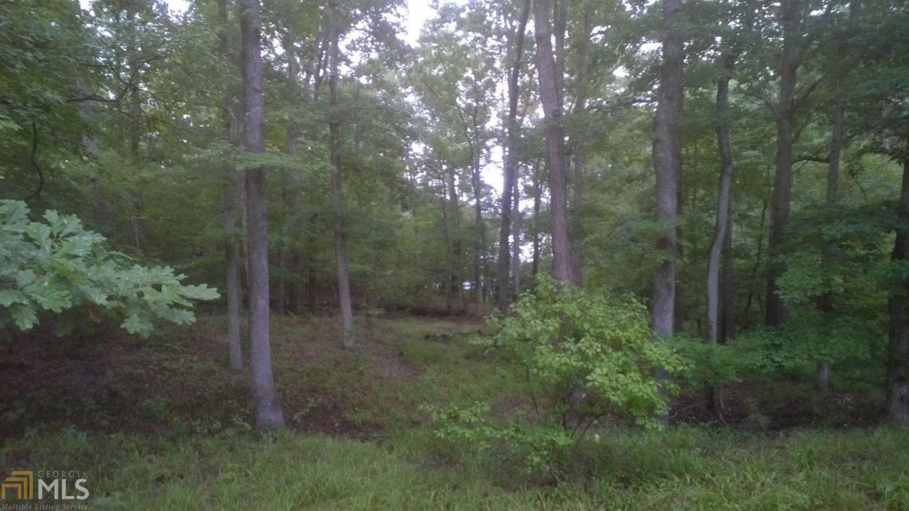 0 Island Creek Dr W - Photo 1