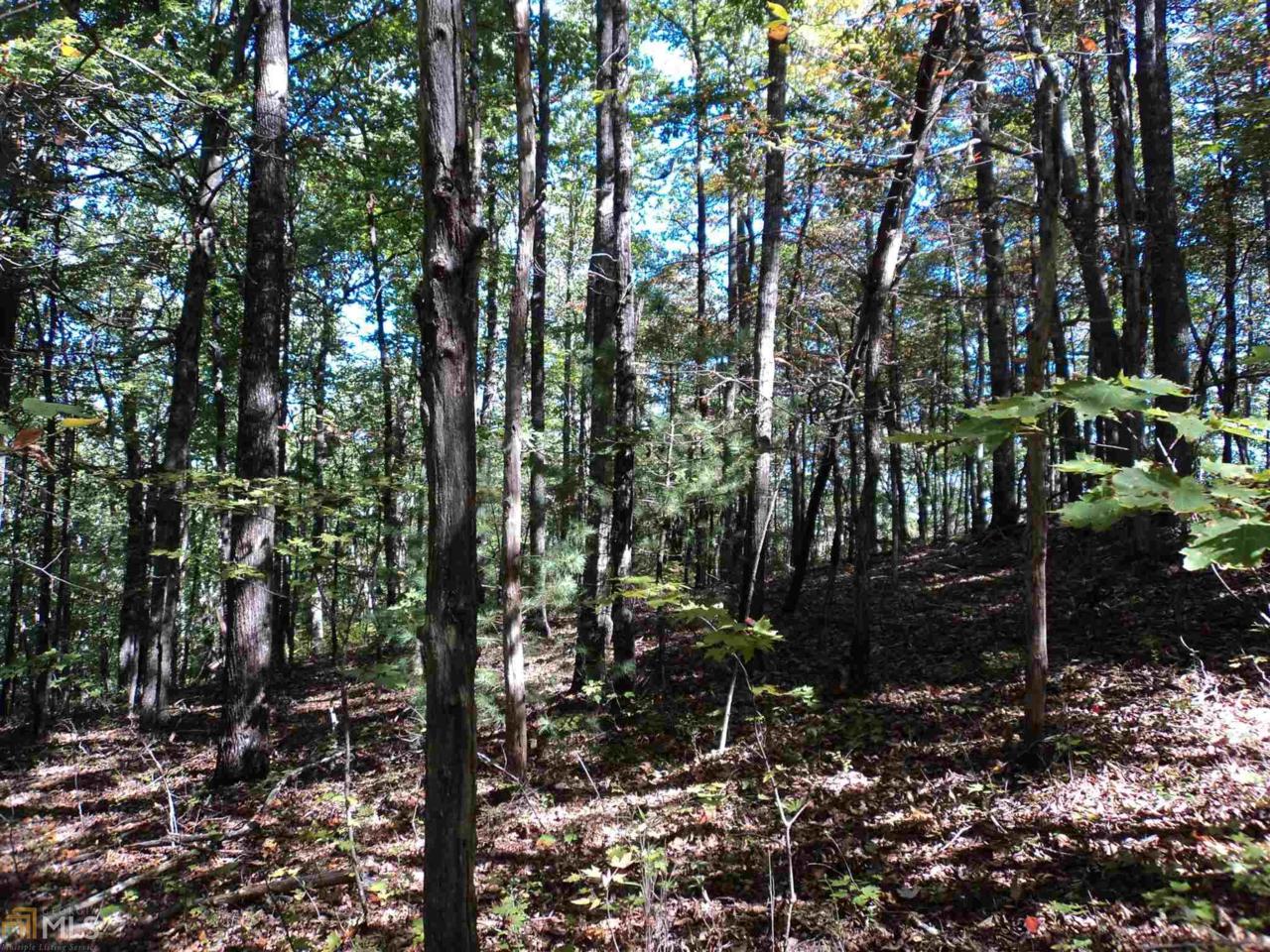 0 Bonanza Ln - Photo 1
