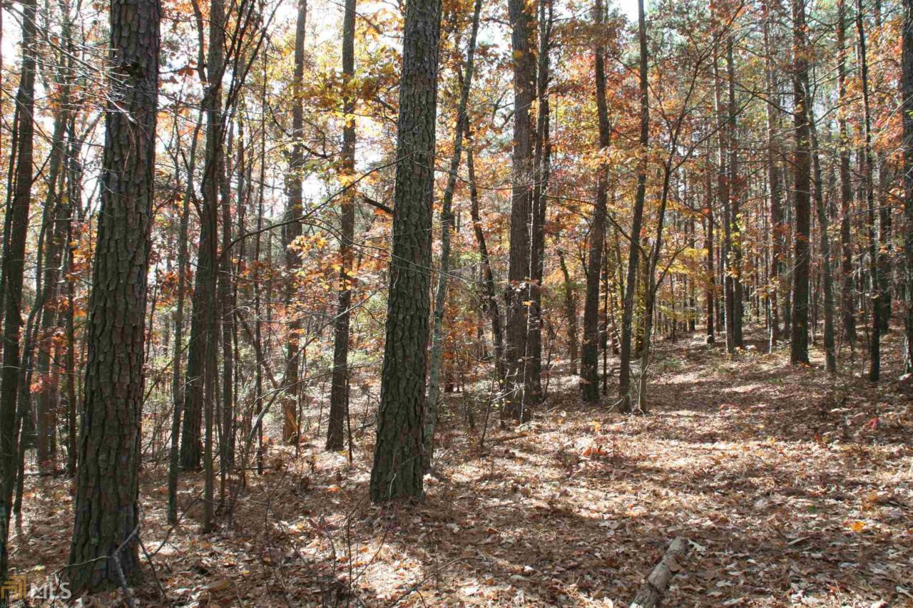 0 Wright Rd - Photo 1