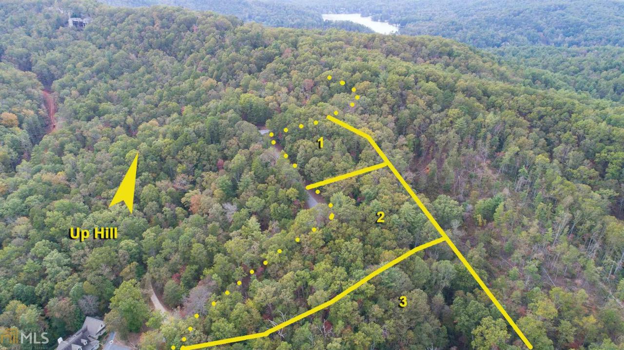 0 Long Laurel Ridge - Photo 1